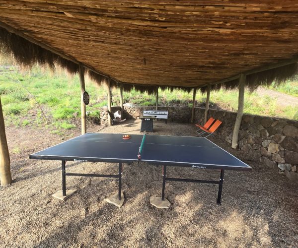 pingpong